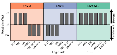 Overview of the plasticity environment setup, adapted from (Lalejini et al., 2021)